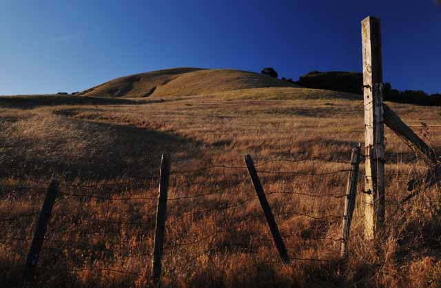 earthquake hills Marin County